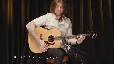 Taylor Guitars | Gold Label 717e | Demo.jpg