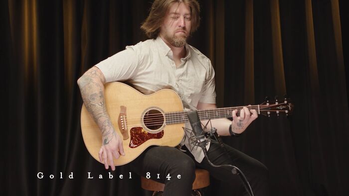 Taylor Guitars | Gold Label 814e vs. 814e Koa | Comparison Demo.jpg