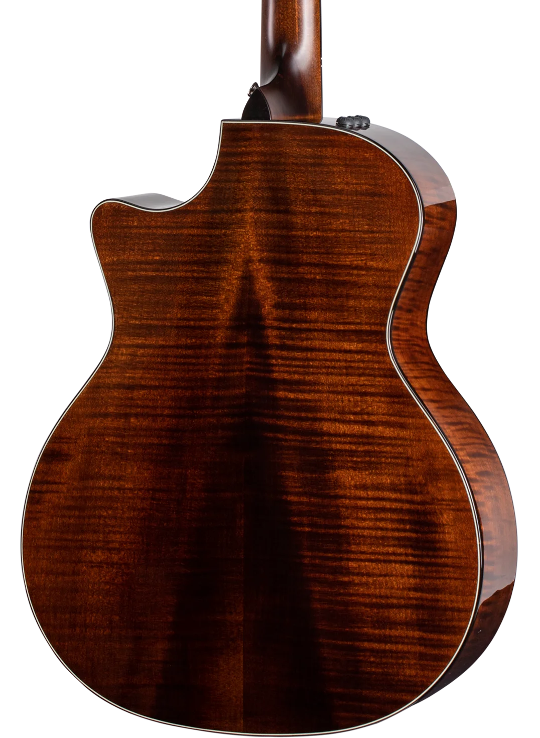 taylor-features-back-woods-maple-614ce