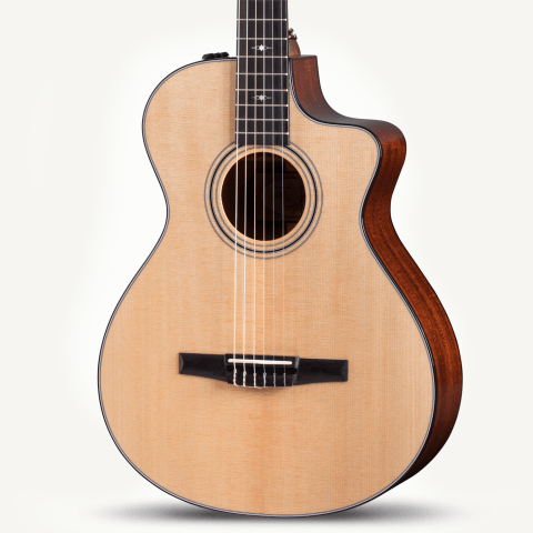 Taylor Guitars Taylor Guitars