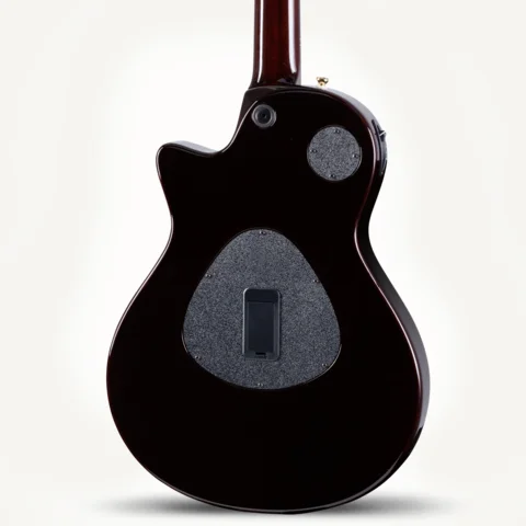 Taylor(プロフィール必読) Taylor Guitars