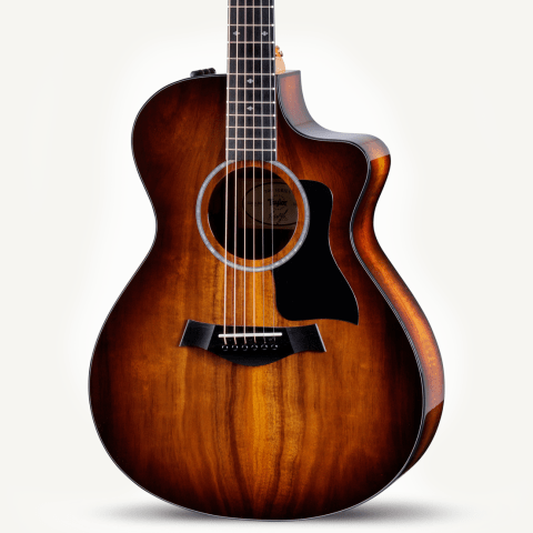 Taylor Guitars - 222ce-K DLX