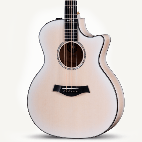 50th Anniversary 614ce LTD Gallery Front