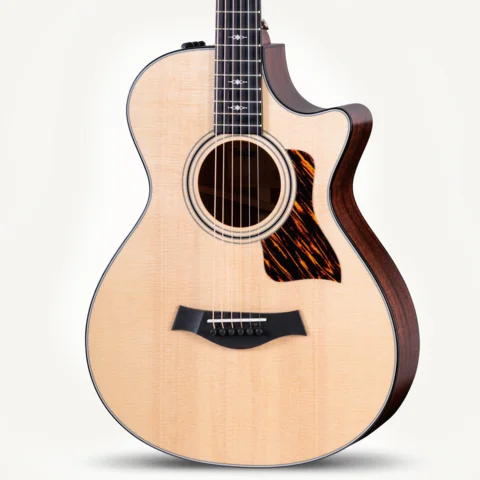 312ce 12-Fret Gallery Image Front