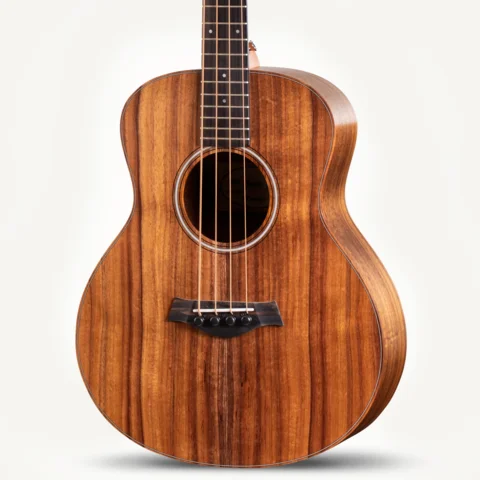 GS Mini-e Koa Bass Front