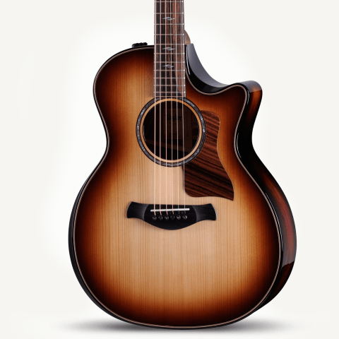 Builder's Edition 814ce Honduran Rosewood/Adirondack Spruce