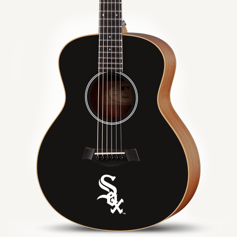 Taylor214ceDLX 2022年製　ギタースタンド付 Taylor214ceDLX 2022年製 ギタースタンド付