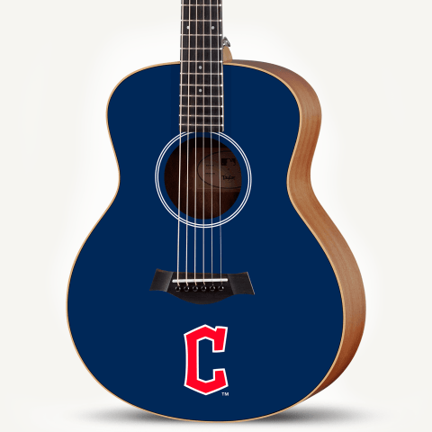 Taylor Guitars