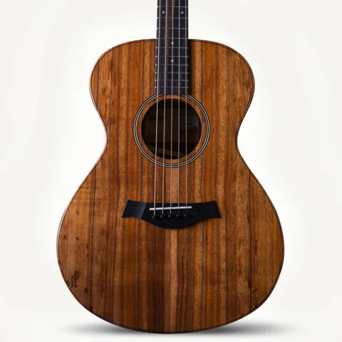 Jacob Collier Signature Model 5-String