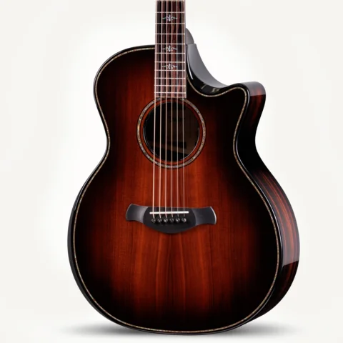 Builder's Edition 914ce LTD Macassar Ebony