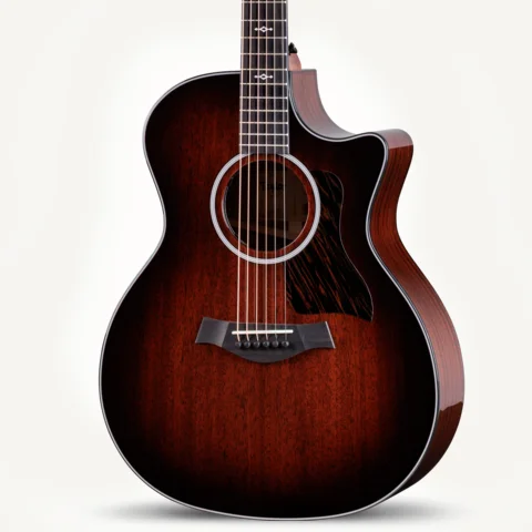 2024年の新アコースティックギター | Taylor Guitars