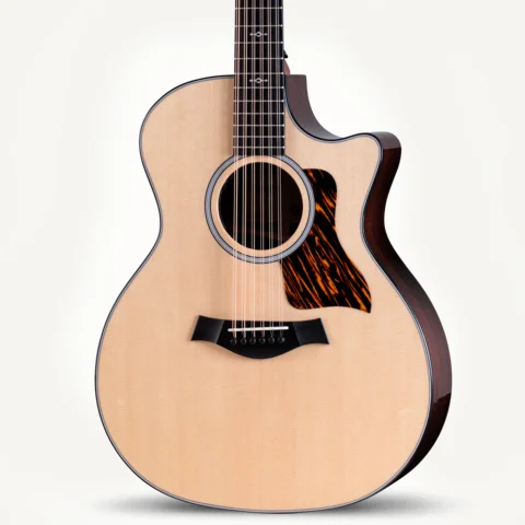 Next-Generation-Taylor-454ce-2026