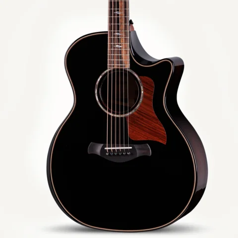 Next Generation Builder's Edition 814ce Indian Rosewood/Adirondack Spruce Blacktop