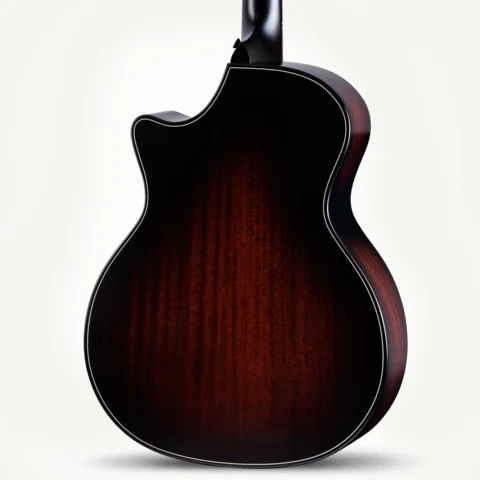 300 Series アコースティックギター | Taylor Guitars