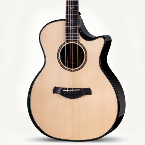 900 Series アコースティックギター | Taylor Guitars