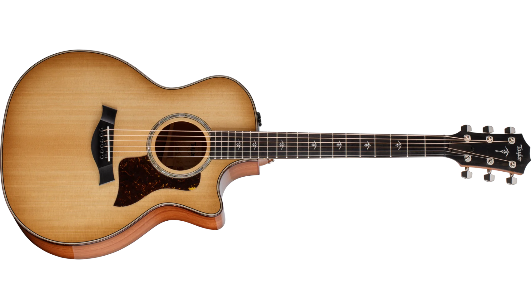 Taylor 514ce テイラー アコースティックギター エレアコ 514ce レッド アイアンバーク アコースティック エレクトリック ギター