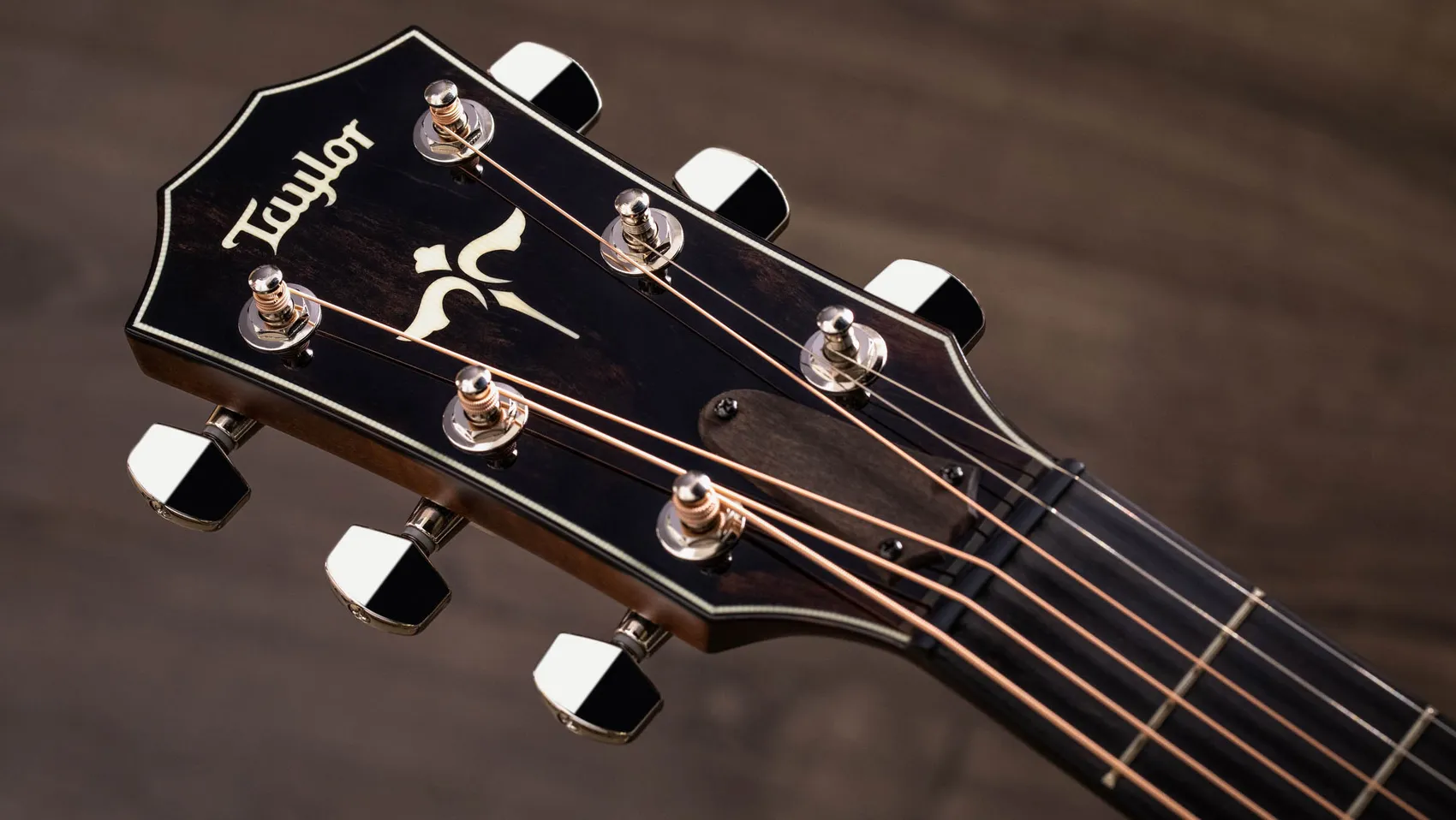 taylor-614ce-00887766087021-