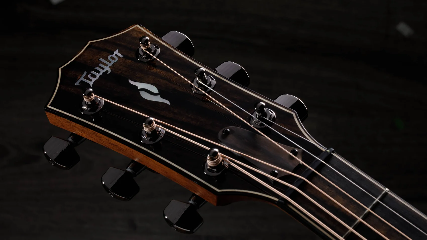 テイラーのギター814ceの案内 814ceIndian Rosewoodアコースティックエレクトリックギター | Taylor