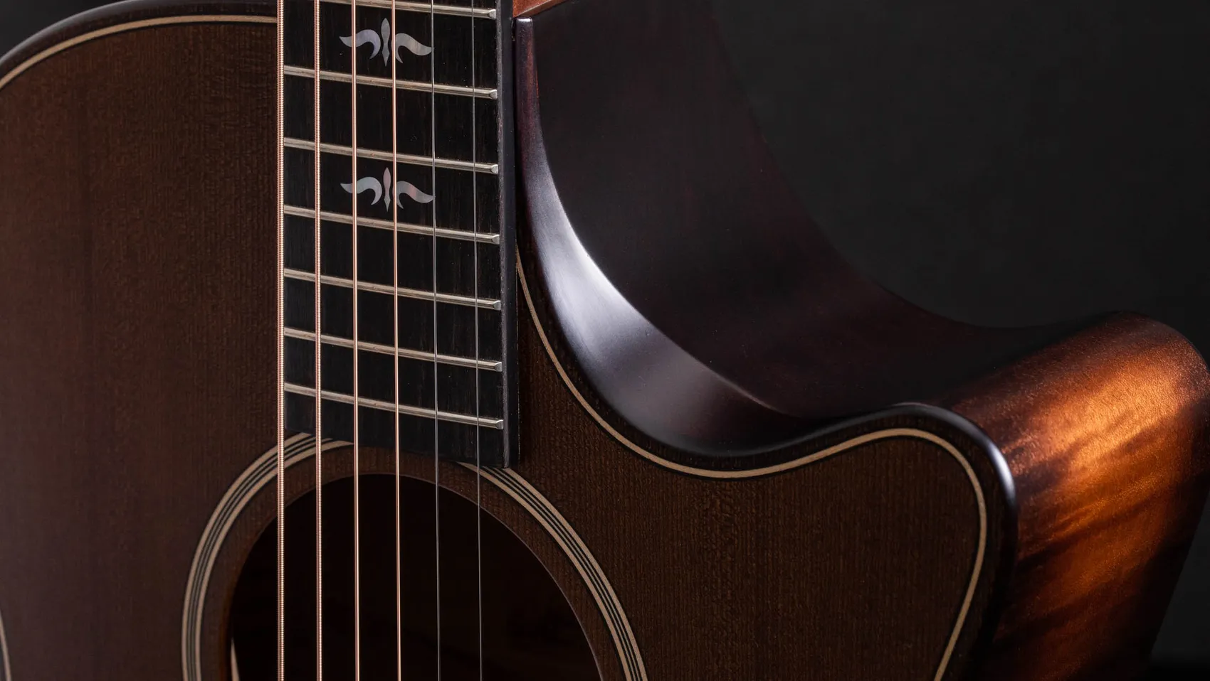 Taylor 614e LTD アコースティックギター ハードケース付き 楽天市場】Taylor（テイラー）2023 Special Edition 614ce V-Class