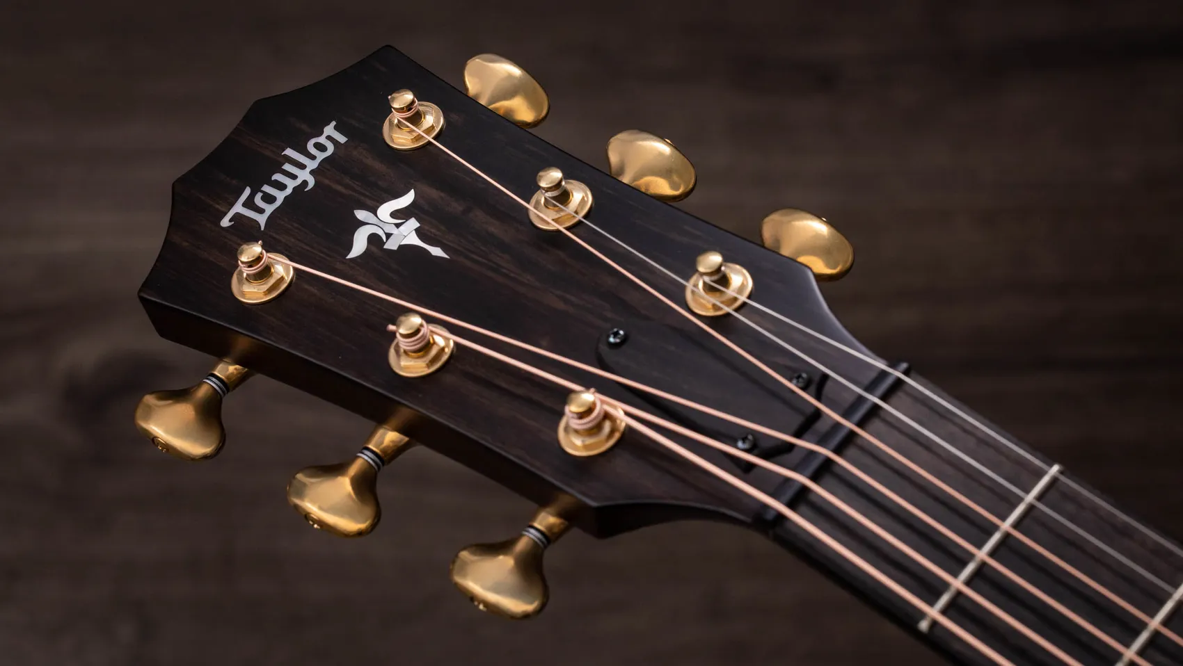 Builder's Edition 614ce WHBMapleアコースティック