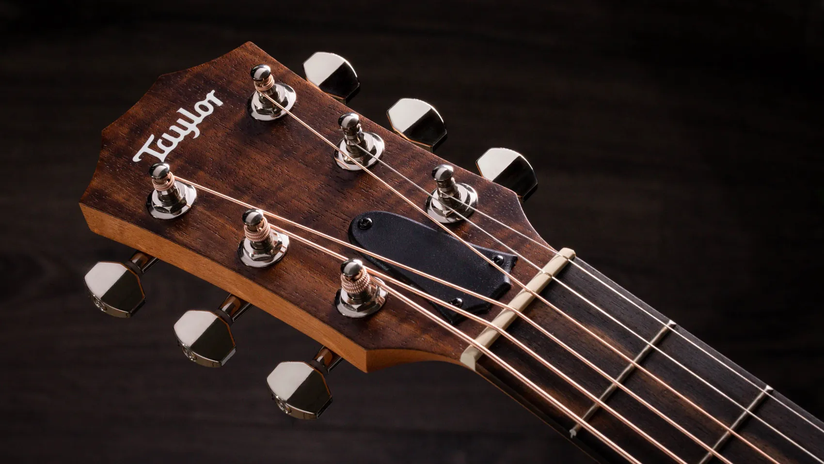 taylor-gs_mini-e_koa_plus- 