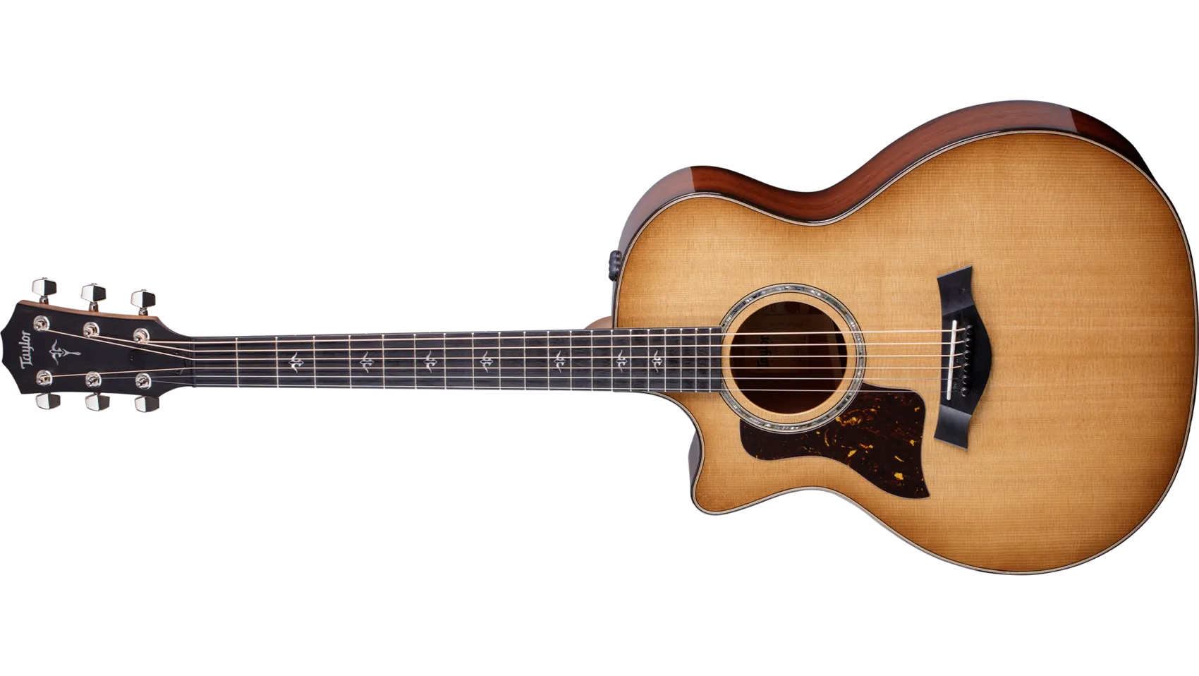 Taylor Guitars