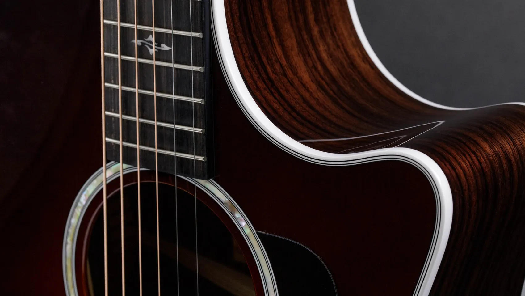 414ceIndian Rosewoodアコースティックエレクトリックギター | Taylor