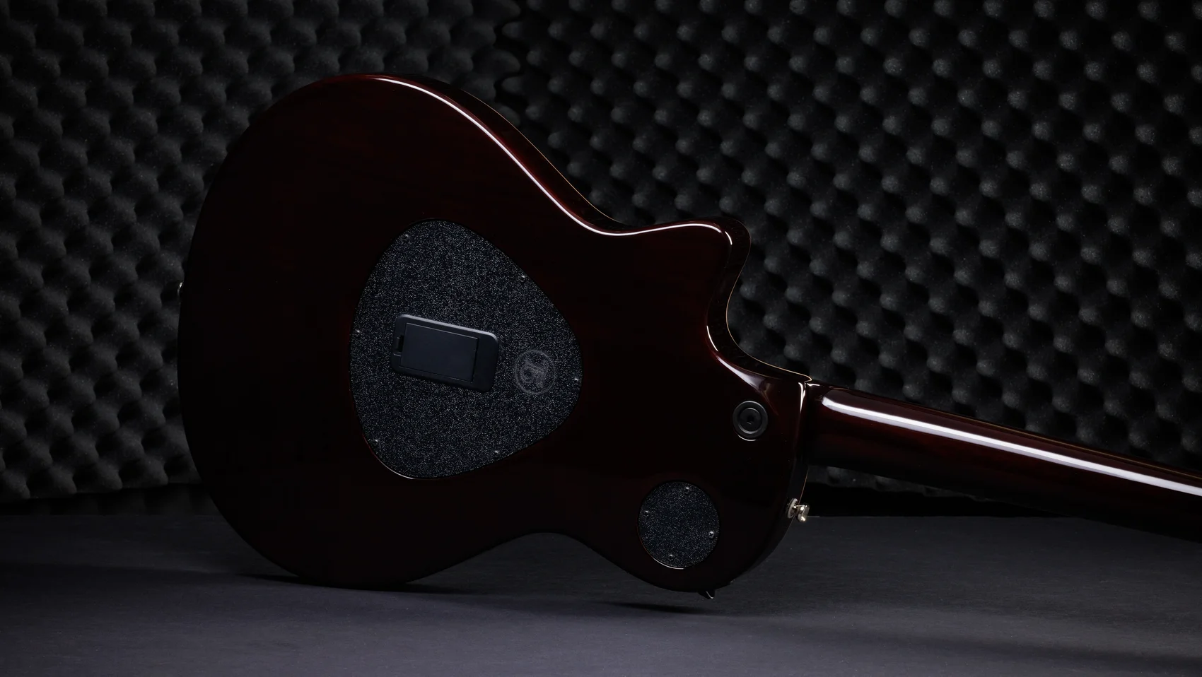 T5z Pro シャメル アッシュ アコースティックギター | Taylor Guitars