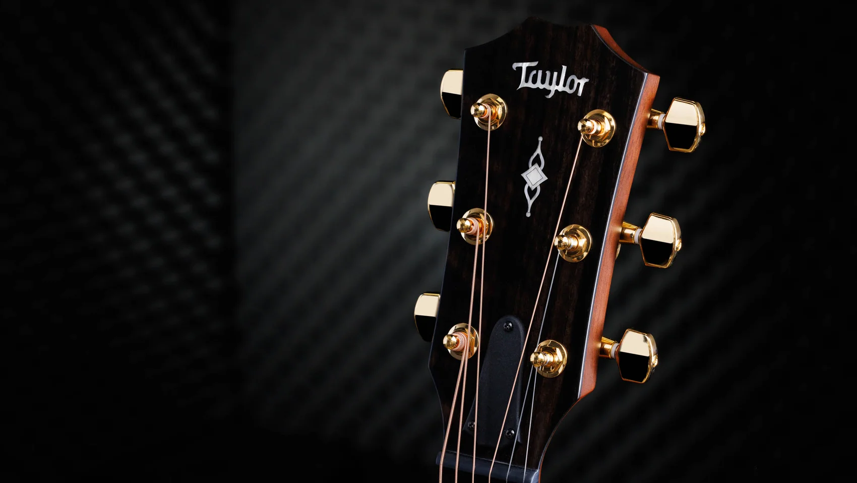ギター Taylor 314ce special Edition Amazon.com: Taylor 314ce Special-edition Grand Auditorium Acoustic