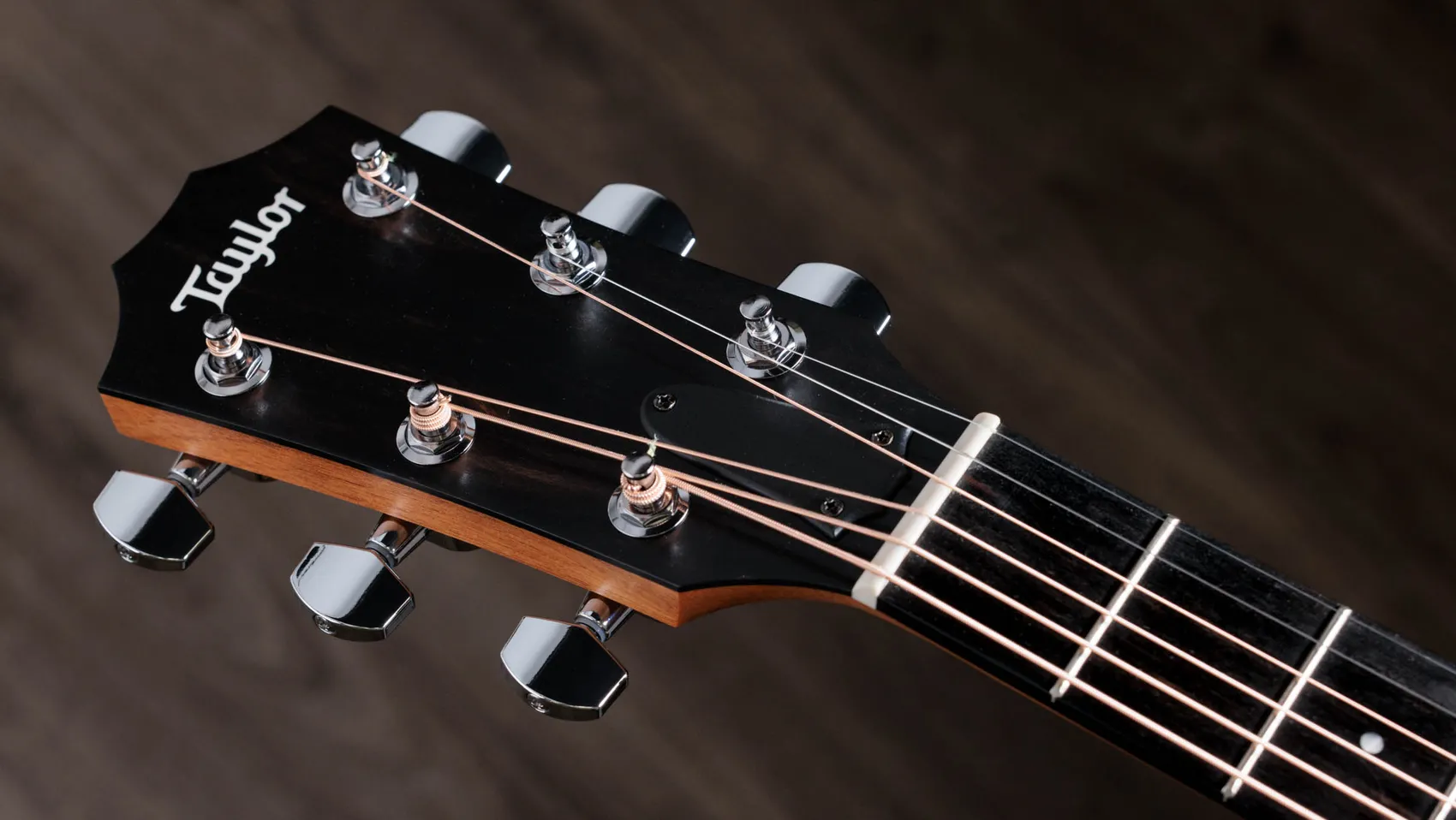 210ceWalnutアコースティック エレクトリック ギター | Taylor Guitars