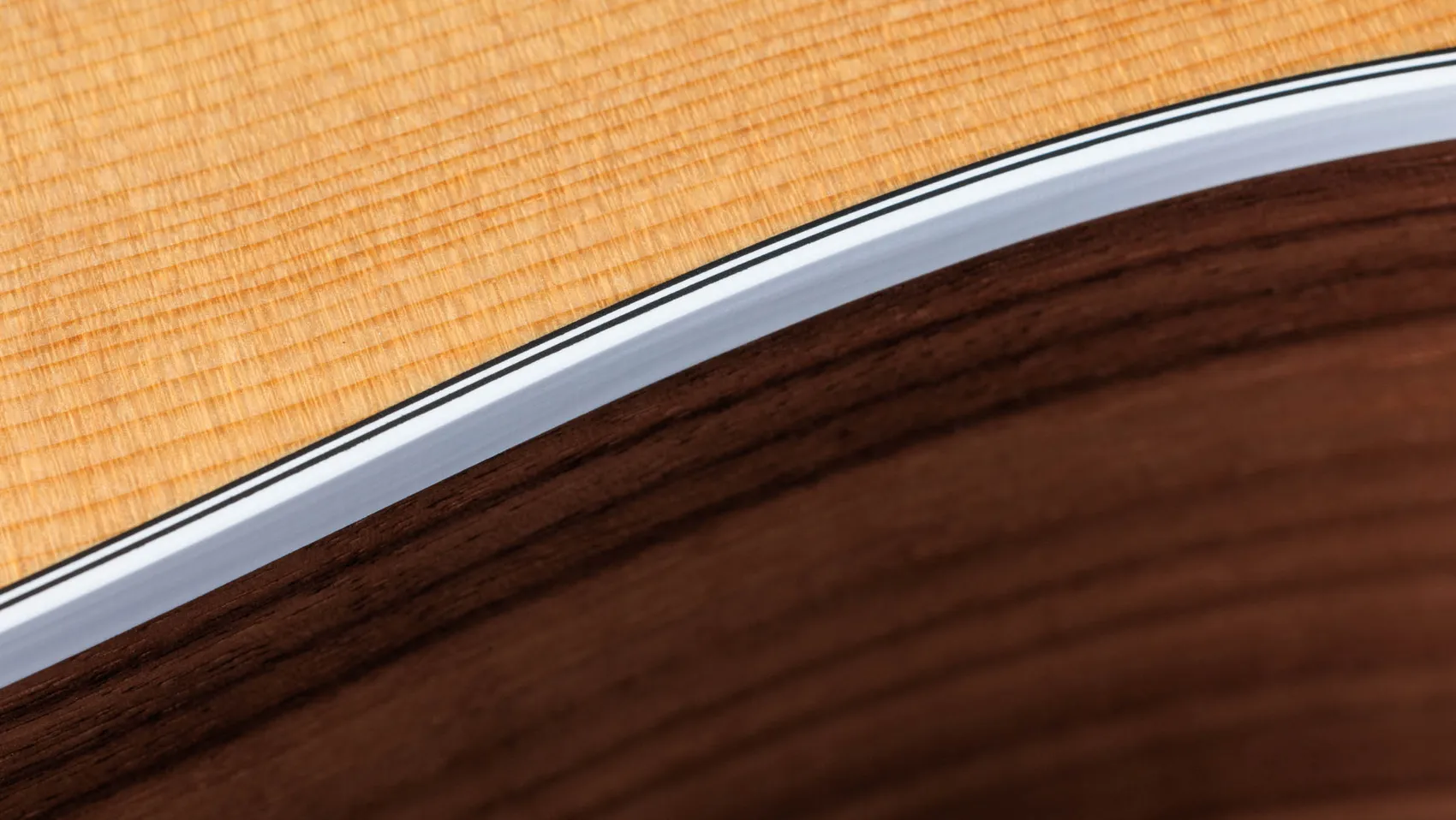 210ceWalnutアコースティック エレクトリック ギター | Taylor Guitars