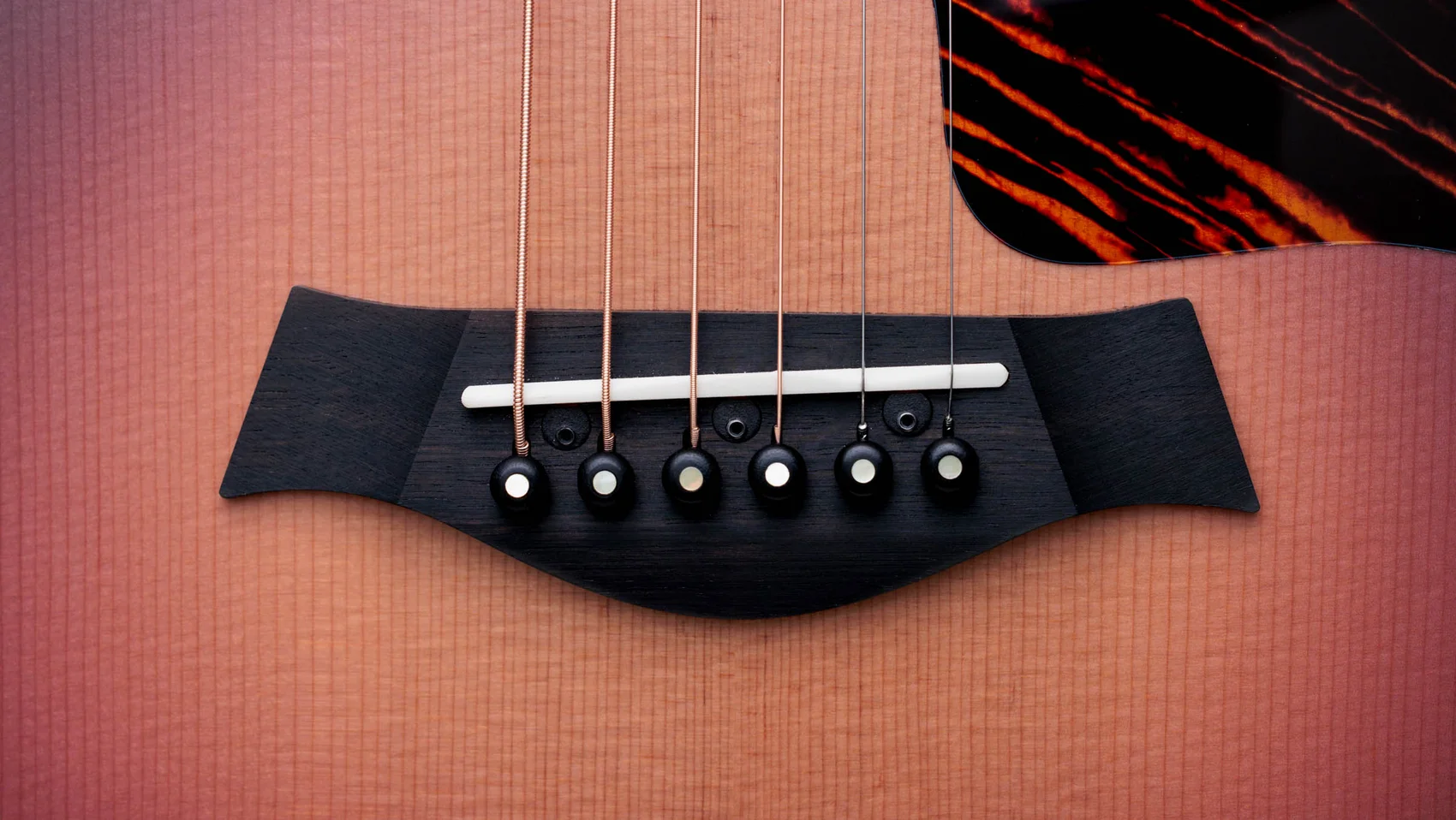 50th Anniversary GS Mini-e Rosewood SB LTDIndian Rosewood