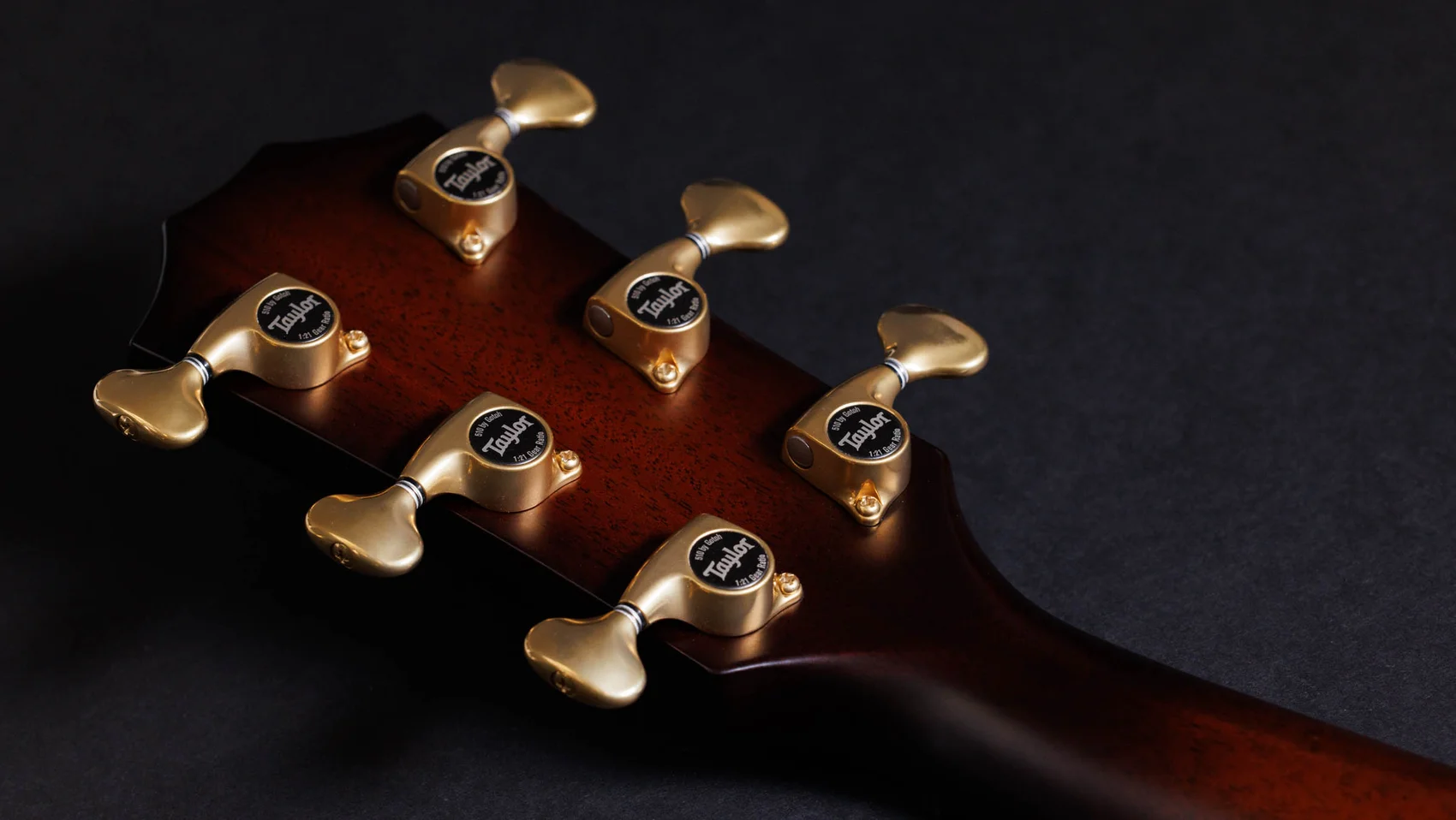 50th Anniversary ビルダーズ エディション 314ce LTD シャメル