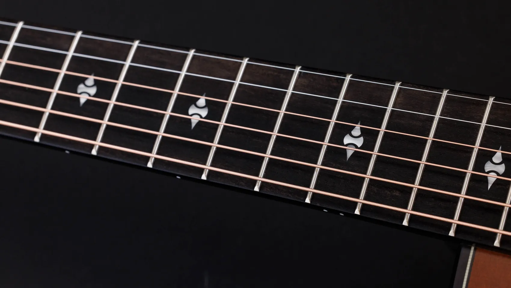 50th Anniversary ビルダーズ エディション 314ce LTD シャメル