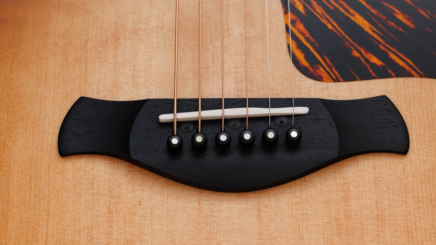 50th AnniversaryBuilder's Edition314ce LTDシャメル アッシュ