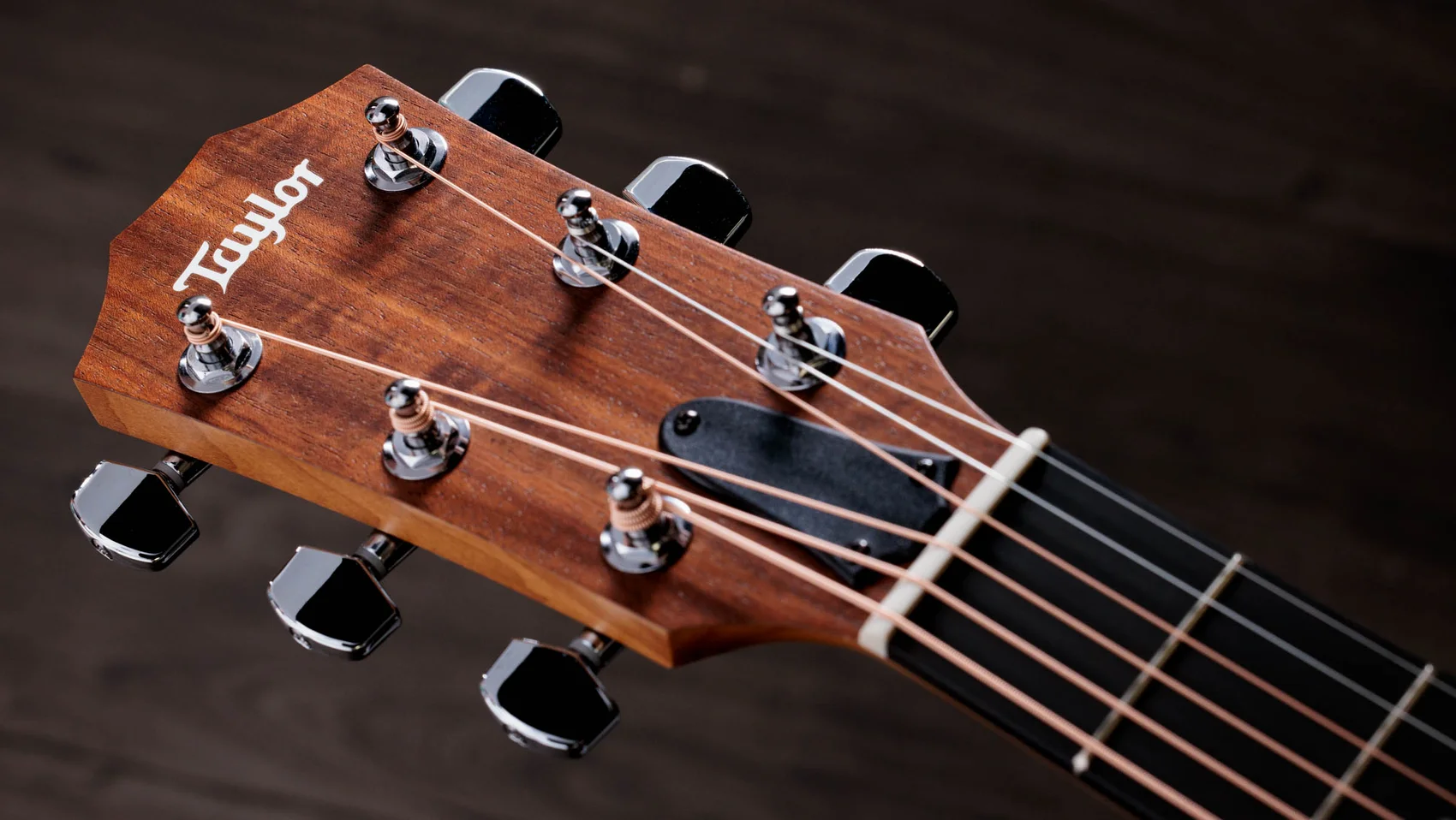 Academy 10e ウォルナット エレクトリック ギター | Taylor Guitars