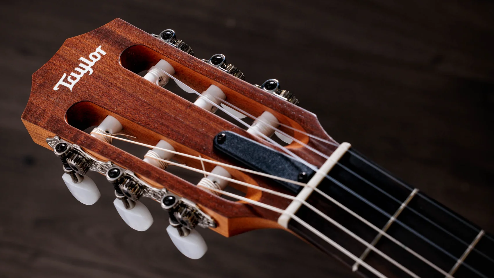 Academy 12e-N ウォルナット エレクトリック ギター | Taylor Guitars