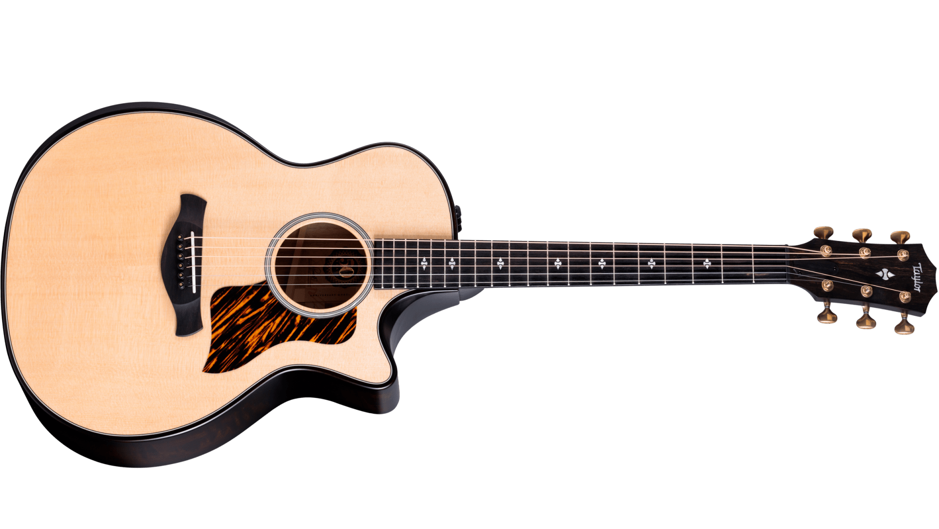 50th Anniversary ビルダーズ エディション 314ce LTD シャメル 50th Anniversary ビルダーズ エディション 314ce LTD シャメル