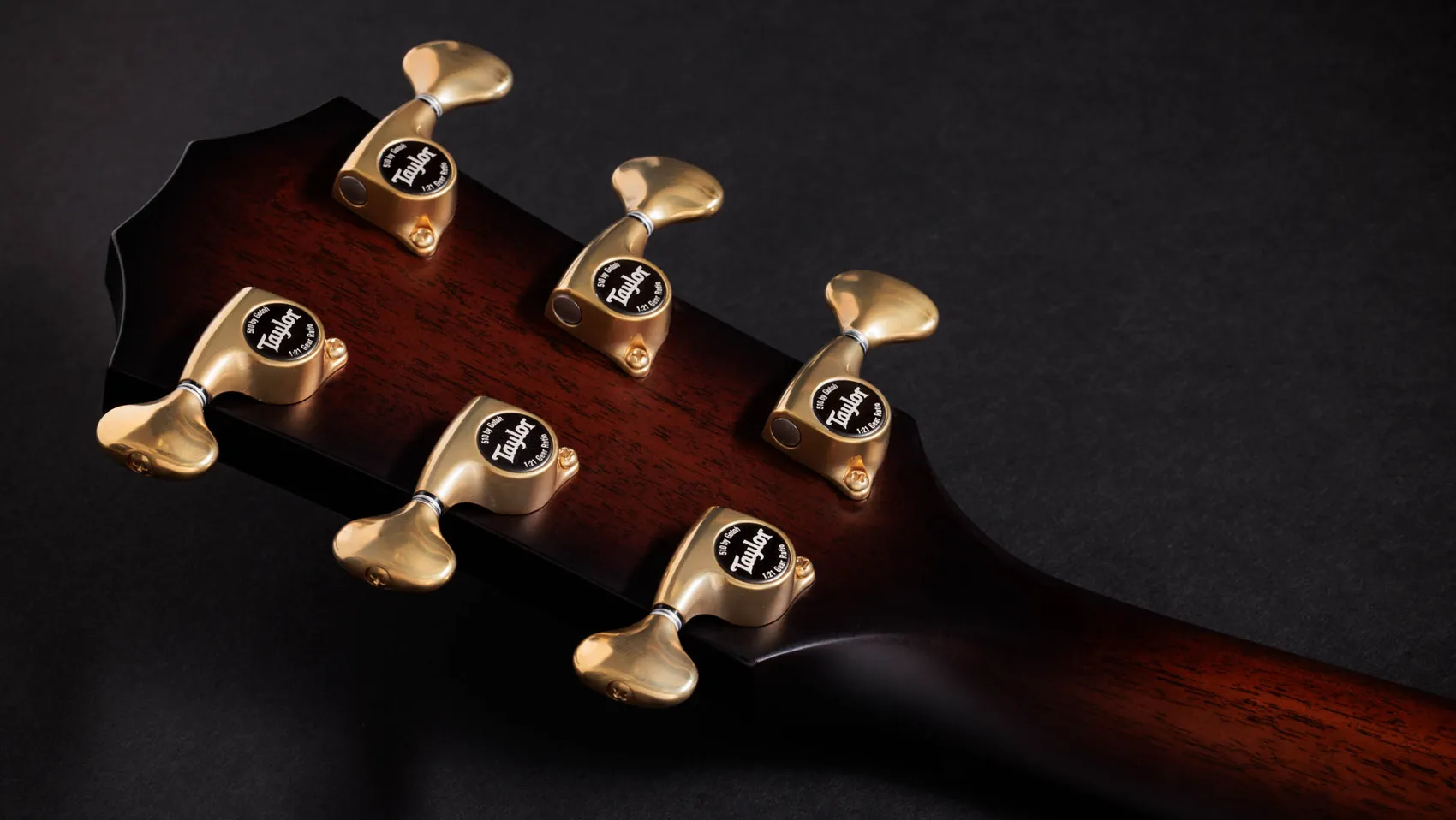 50th Anniversary ビルダーズ エディション 314ce LTD シャメル