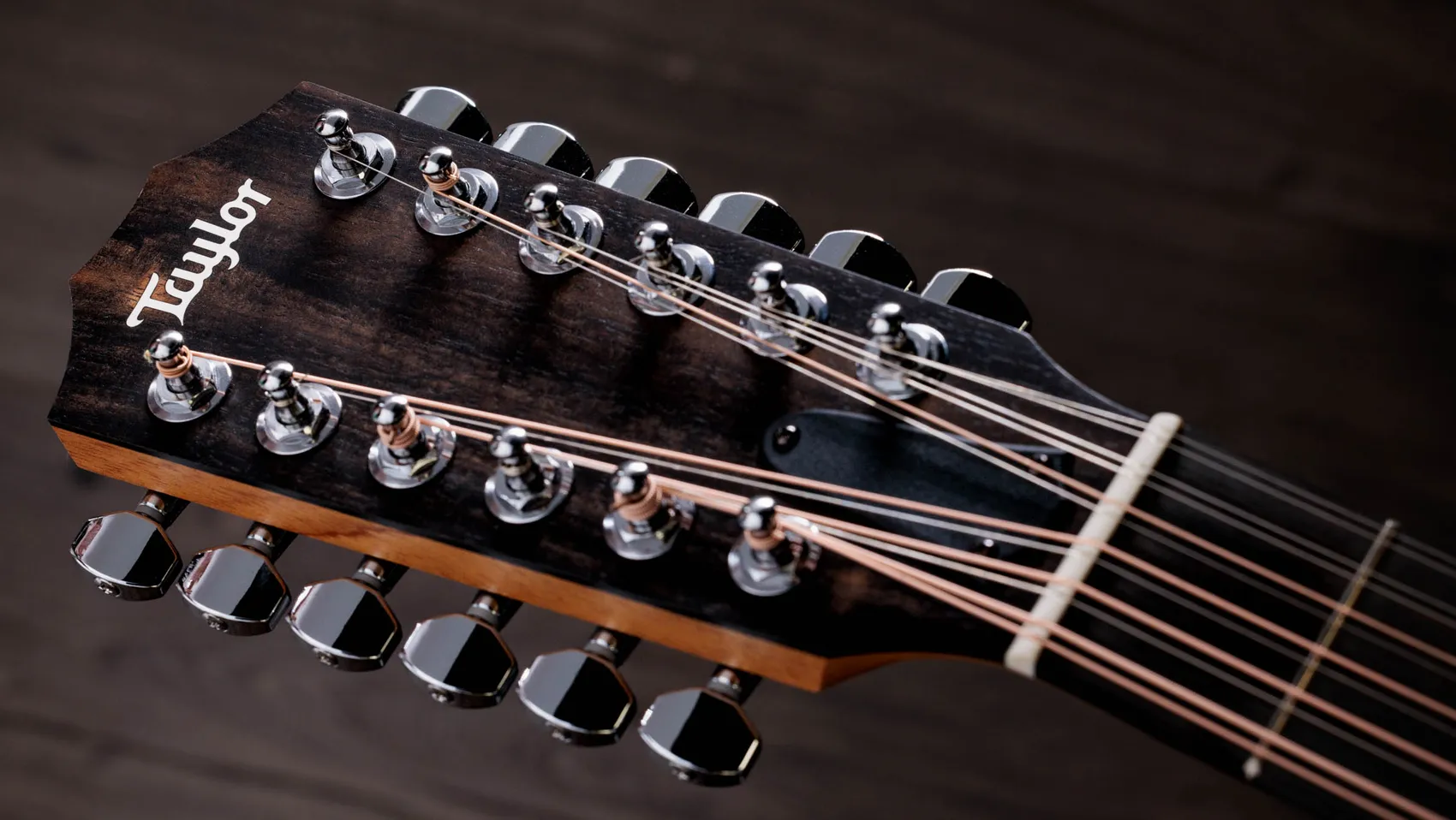 254ce PlusIndian Rosewoodアコースティックエレクトリックギター