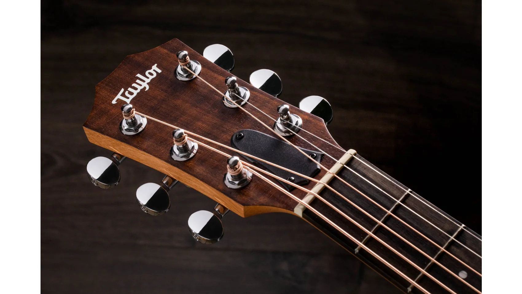 Taylor GS Mini アコースティックギター GS Mini Mahogany レイヤード・サペリ アコースティックギター