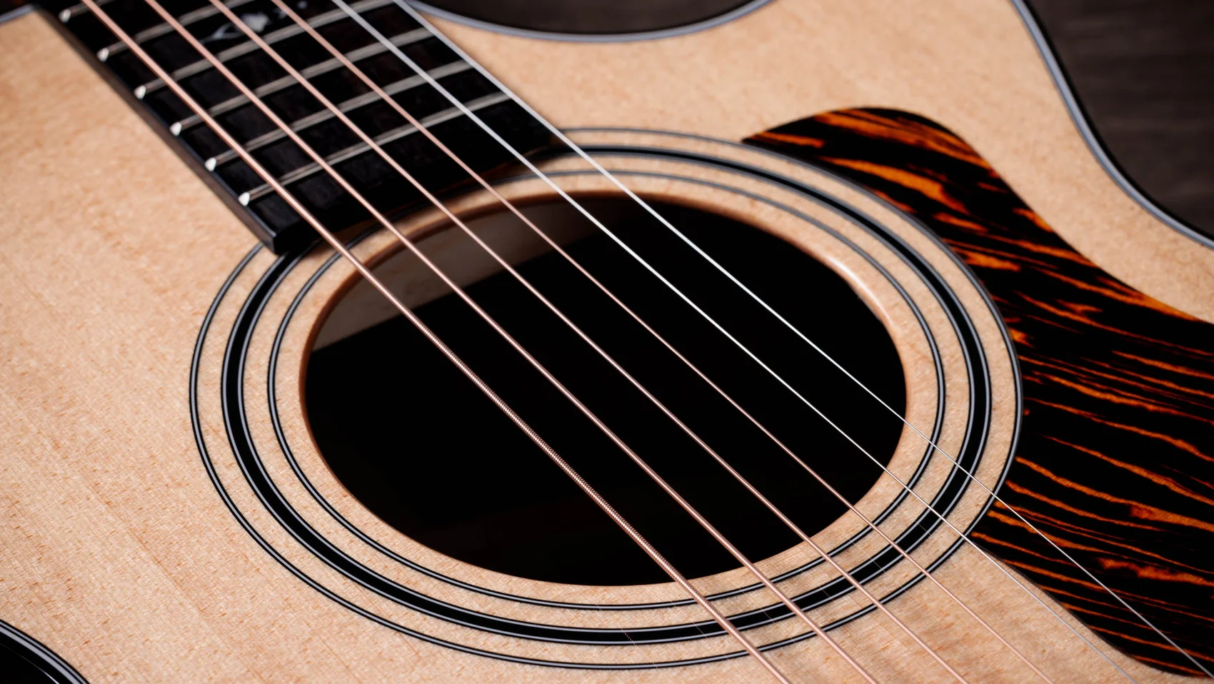 312ceSapeleアコースティック エレクトリック ギター | Taylor Guitars