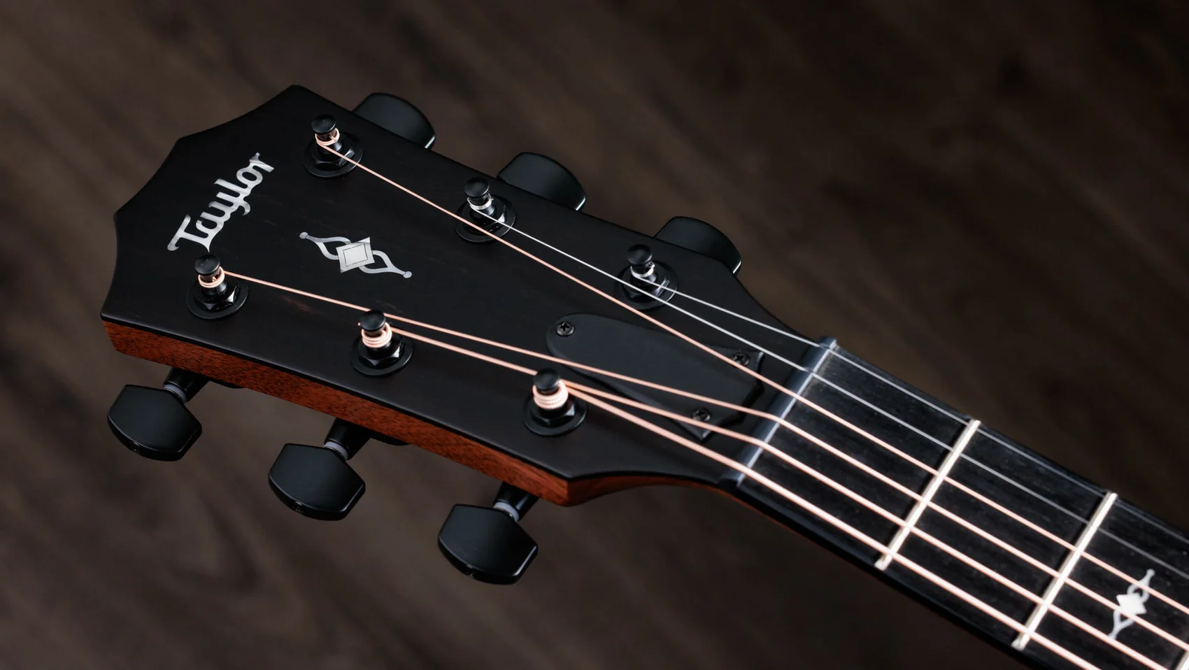 ギター taylor 324ce black wood Taylor Taylor 324ce Blackwood V-Class w/Expression System 2