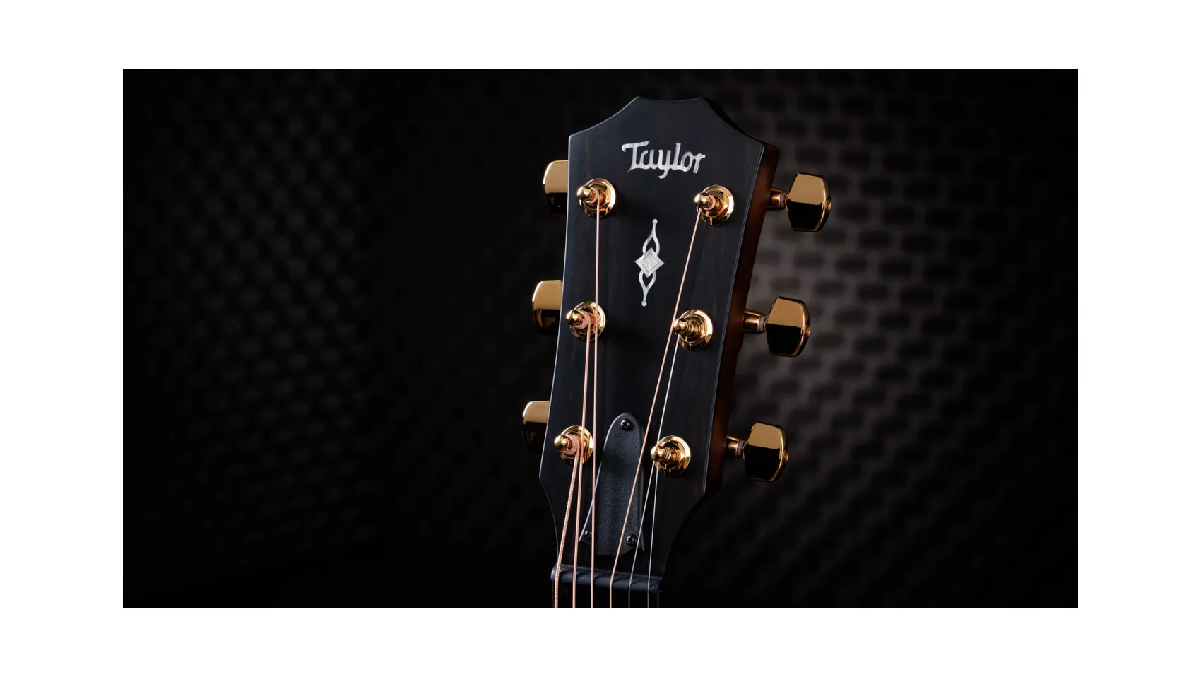 50th Anniversary 312ce LTD サペリ アコースティック エレクトリック