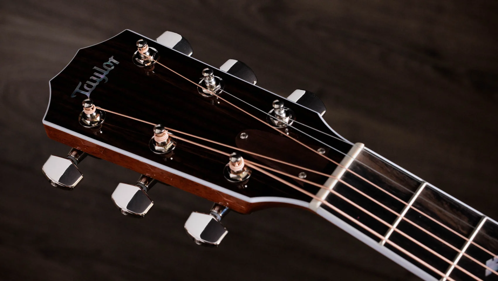 レガシー 810e インディアン・ローズウッド アコースティックギター