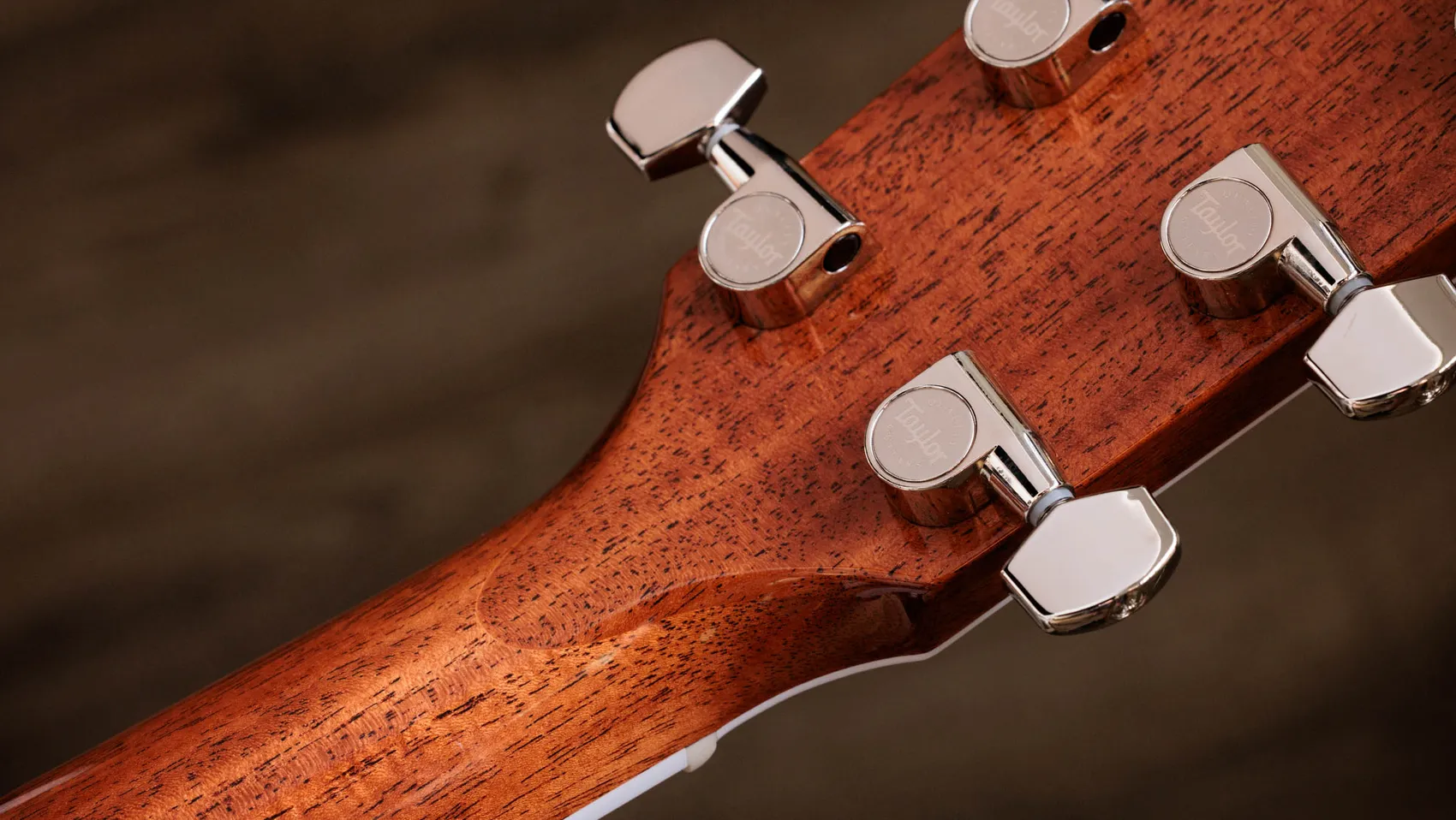 ギター Taylor 810e レガシー 810e インディアン・ローズウッド アコースティックギター