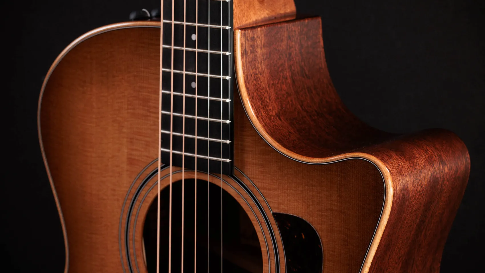サペリ・アコースティック・エレクトリックギターTaylor Guitars
