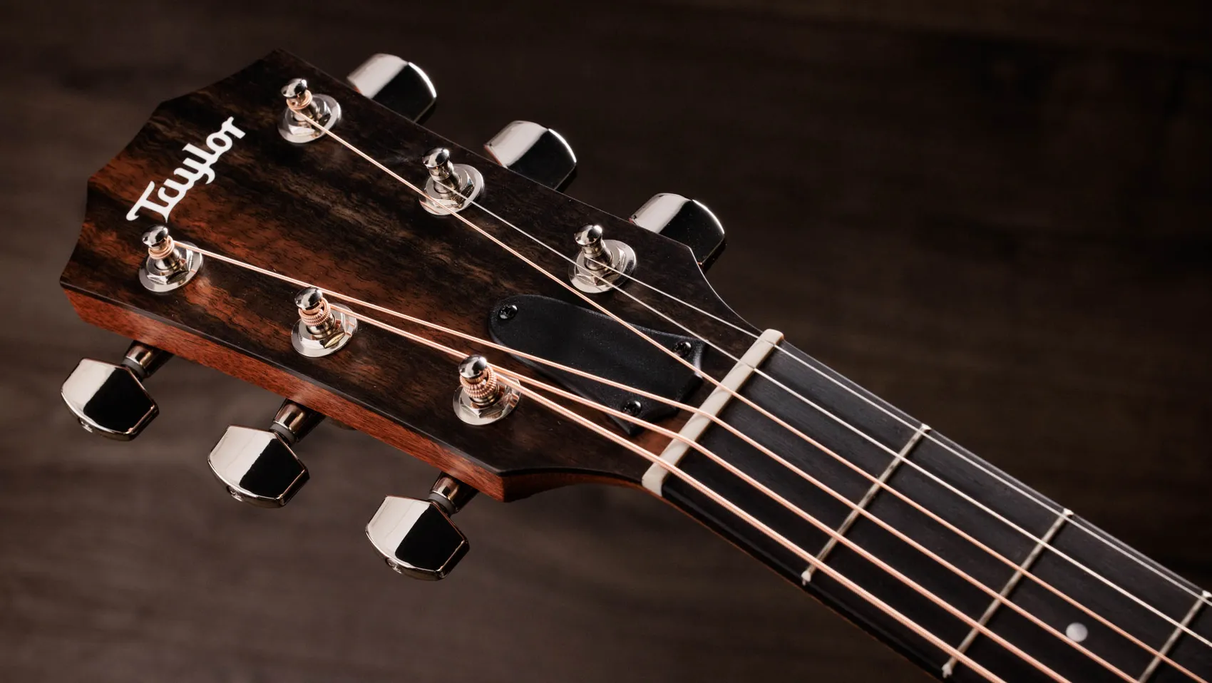 Taylor-314ce-Studio-Special-