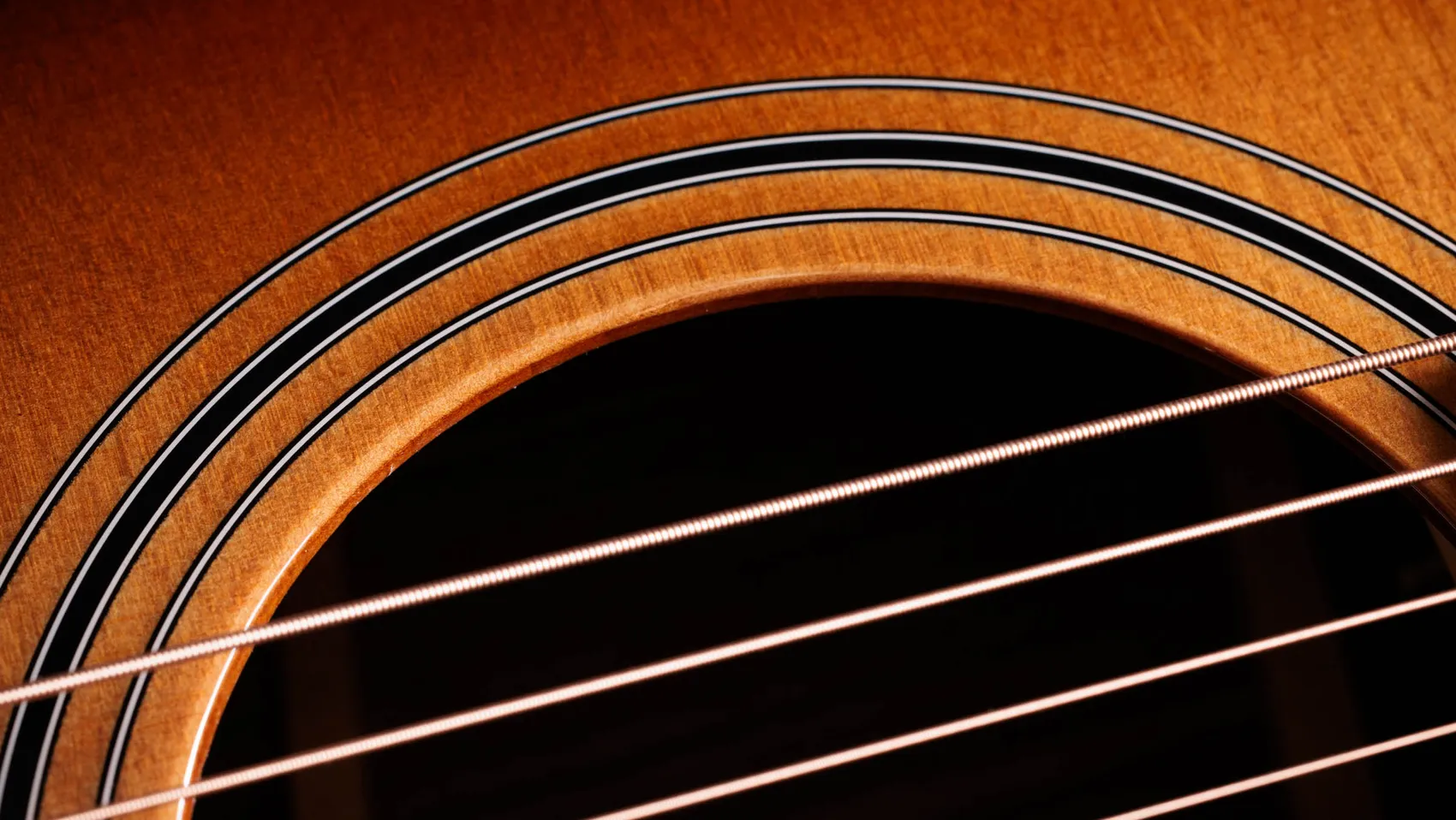 インディアン・ローズウッド・アコースティック・エレクトリックギター