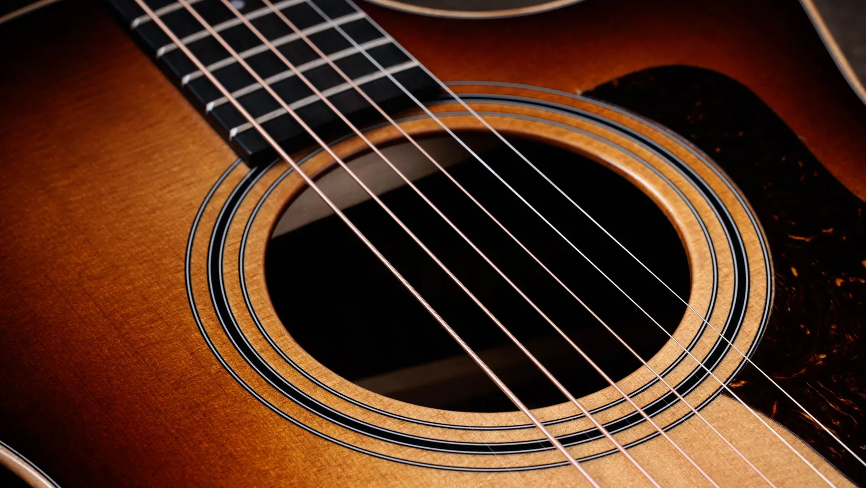 インディアン・ローズウッド・アコースティック・エレクトリックギター